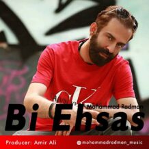 دانلود آهنگ جدید محمد رادمان به نام بی احساس